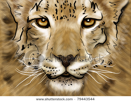 stock-photo-drawing-puma-head-in-photoshop-with-multicolor-79443544.jpg