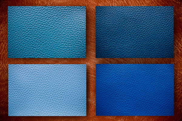 leather on the background-2_resize.jpg