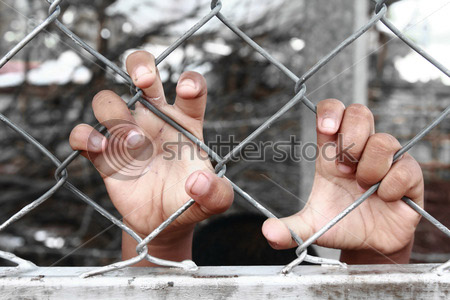 stock-photo-hands-of-a-chi copy.jpg