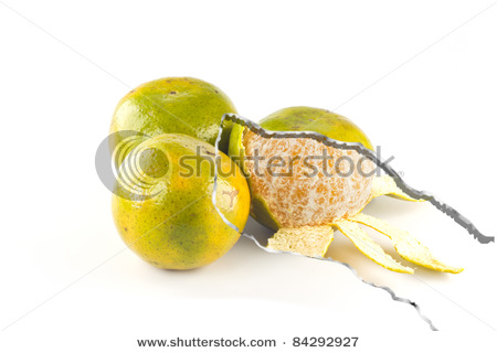 stock-photo-oranges-isolated-on-white-background-84292927.jpg