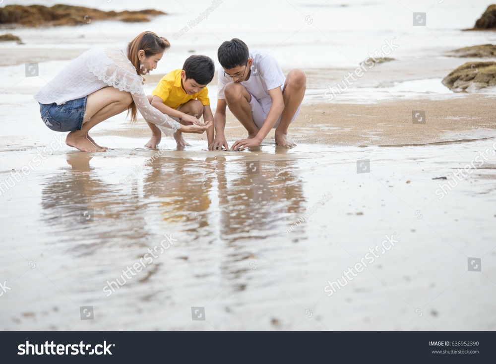 stock photo three people asian family on vacation mother and sons playing on tropical beach with happiness 636952390